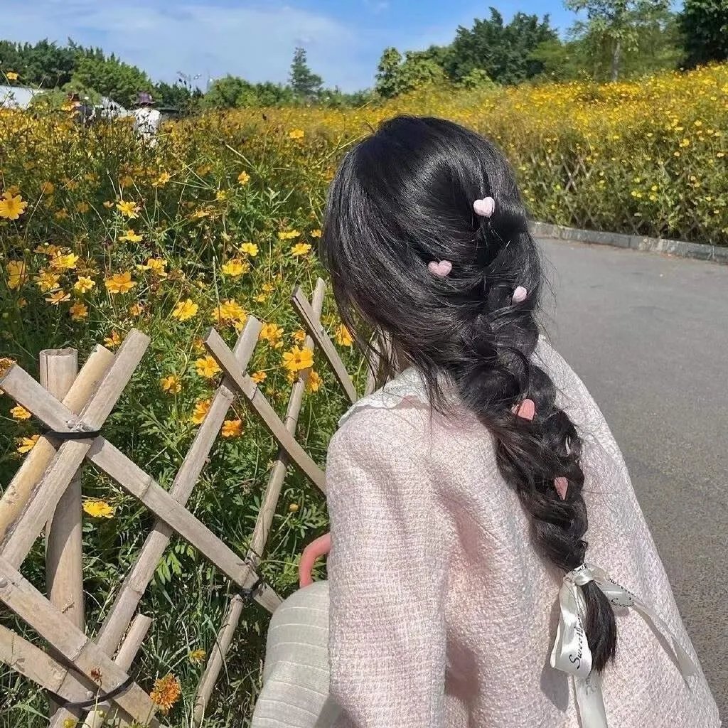 真相半白